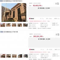 中弘旗下部分房产第三次流拍，总起拍价3.55亿元