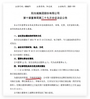 阳光城管理结构调整林腾蛟进一步实权：多名老将获提拔 万科背景徐国宏获重任