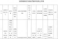违规发布广告、虚假宣传 合肥一房企被重罚96万元
