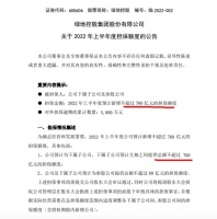 绿地控股披露2022年上半年拟新增不超760亿元担保额度