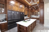 都在对标卡萨帝，可她又辟新路了