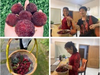 世茂服务宁波|统一采摘，新鲜直送，杨梅季，这个小区的做法好温情