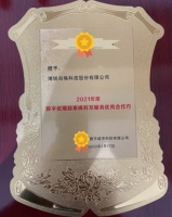 喜提“数字化项目系统开发服务优秀合作方“称号