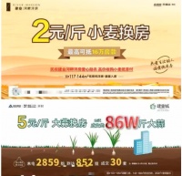 河南两县城小麦和大蒜抵首付背后：建业地产销售降速