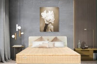 携手赢未来 双展显锋芒 | 雅兰即将登陆广州、深圳双展