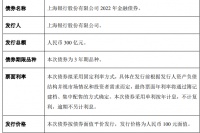 上海银行拟发行300亿元金融债券 支持房地产并购项目