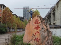 重庆新加坡风情园停摆7年开发商“失联”，法院曾发“悬赏令”征集线索