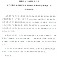 绿城房产关联方累计购买其债务融资工具金额达1.4亿元