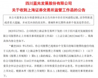 *ST蓝光收到上交所终止上市监管工作函