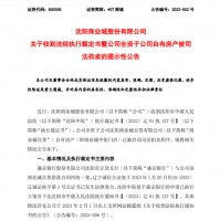 11.5亿元拍卖！沈阳商业城自有房产被启动司法拍卖程序引数千围观