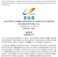 碧桂园：上半年预亏450亿-550亿，四大措施开展自救