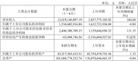 正式更名“衢州发展”，国资加持的新湖中宝成绩单亮眼