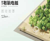 2025 地板十大品牌榜單：環(huán)保與全品類趨勢(shì)下的權(quán)威推薦