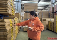 郑菊仙与金凯的十七载：车轮驶向繁花